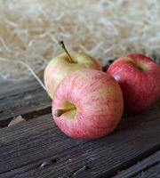 Les Jardins de Gérard - Pomme Gala Bio - 3 kg