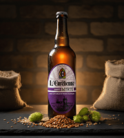 Bière L’Eurélienne – Brasserie de Chandres - BIERE AMBREE MYRTE  L'Eurélienne 75CL