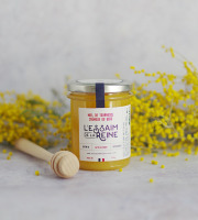 L'Essaim de la Reine - Miel de tournesol crémeux du Gers - 250g - récolté en France par l'apiculteur