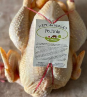 Ferme du Vidalies - [Précommande] 5 Poulardes