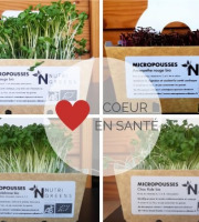 Ma Micropousse culinaire - Micro pousses Pack Coeur en santé (brocoli, chou rouge, Kale, Amaranthe) 4 barquettes