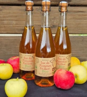 Le verger bio de Quinsac - Lot de 3 Jus pétillant de pomme 75cl BIO et DEMETER