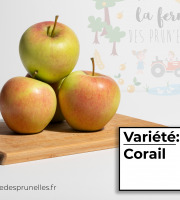 La Ferme des Prun'Elles - pomme Corail