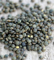 La Ferme des Ecureuils - Lentilles vertes Bio – 5000g