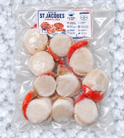 Mon Petit Poisson - Noix de Saint-Jacques coraillées (300 g)