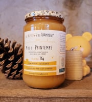 Les Butineuses de Champigny - Miel de Printemps BIO - 1000g