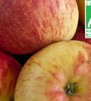Mon Petit Producteur - Pomme Bio Boskoop - 3kg