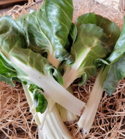 Les Jardins de Gérard - Feuilles de Blette Bio - 500 g