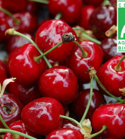 Mon Petit Producteur - Cerise Bio (500g)