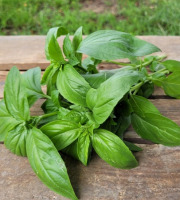 Le Pré de la Rivière - Bouquet de Basilic grand vert frais bio - Origine France