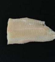 Poissonnerie Robert - Filet de Loup 500g