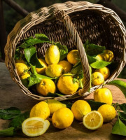 Maison Gannac - CITRON BIO DE NOS VERGERS (ORIGINE : MENTON)