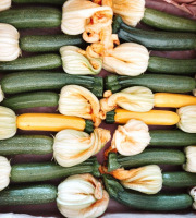 Nature et Saveurs - Ferme Aquaponique et Permacole Astérienne - Mini courgettes vertes – fraîcheur et finesse gastronomique