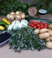 Ferme de Cernunnos - panier de fruits et légumes