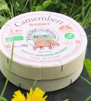 Ferme de la Paumerais - CAMEMBERT FERMIER BIO (x1) - 240 Gr