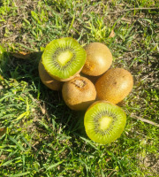 LES VERGERS DE BRAVONE - KIWIS VRAC NON BIO