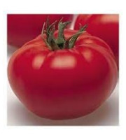 Les Jardins de Mondpa - tomates rondes mélange