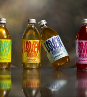 LOVEN Crew - Brasserie L'Indispensable - Kombucha Pack Découverte - 12x33cl