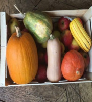 La Coussoyote - panier de 4 courges d 'exception plus petit cadeau !