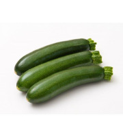 Nature et Saveurs - Ferme Aquaponique et Permacole Astérienne - Courgette Verte Moyenne