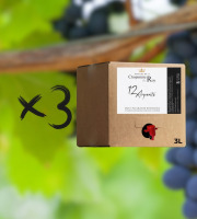 Domaine de la Chopinière du Roy - Lot 3 BIB de Vin Rouge Saint Nicolas de Bourgueil 2024 - 3 Litres