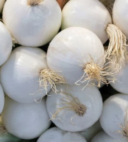 ChâteauFer - Oignon blanc 1kg
