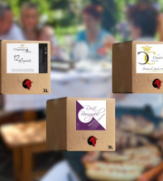 Domaine de la Chopinière du Roy - BIB les essentiels 3L – Lot de 3 bag in box différents (Vin Rouge, Rosé, Blanc) – 3 x 3 Litres
