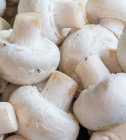Maréchal Fraicheur - Champignons blancs - 1 kg