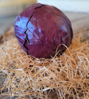 Les Jardins de Gérard - Chou rouge lisse - Poids moyen 800g