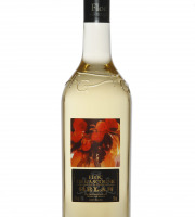 Armagnac Gelas - FLOC DE GASCOGNE BLANC