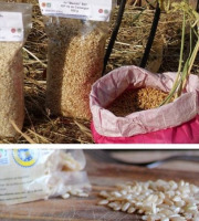 Les Délices du Scamandre - Riz Bio "Manobi" IGP Riz de Camargue : Semi-complet 10kg et Complet 10kg