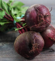 Aux Jardins des Colibris - 1kg Betterave crue Bio