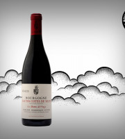 Boucherie Moderne - Vin rouge - Hautes-Côtes de Nuits