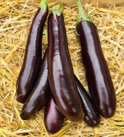 La Ferme de Goas Per - Aubergine violette Bio - 1,8kg