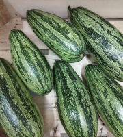 Le Rucher de Cantiers - Courgettes marbrées du jardin