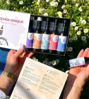 Les Oenocalendriers - Coffret 6 vins "Balade Oenologique"