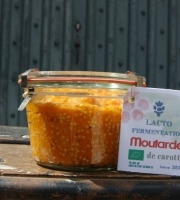 ChâteauFer - Lacto moutarde de carotte