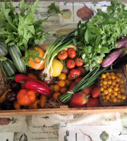 Nature et Saveurs - Ferme Aquaponique et Permacole Astérienne - Petit Panier de légumes astériens