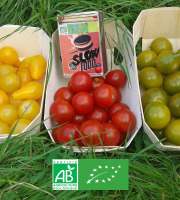 LES JARDINS DE KARINE - Tomates cerises : le TRIO gourmet (3x250g)