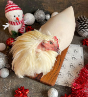 Maison Lascours - Chapon de Bresse AOP - 4 kg