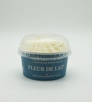 GT Designer Glacier - Glace Fleur de Lait 80ml
