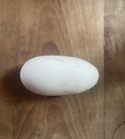 Des Poules et des Vignes à Bourgueil - Gros oeuf d’oie