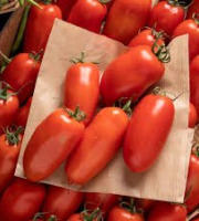Des Poules et des Vignes à Bourgueil - Tomates Torino