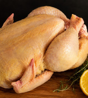 La ferme des Tuileries - [Précommande] Poulet entier - env 1,7kg