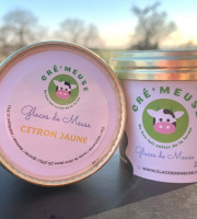 Glaces de Meuse - Lot P'tits Pots "Citron Jaune" - Sorbet PF (90gr)
