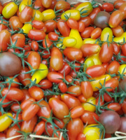 Le Pré de la Rivière - Mélange de tomates cerises 500g - Origine France