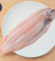 La Criée d'à Côté - Sole | 330g à 350g la pièce