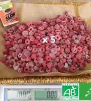 LES JARDINS DE KARINE - Framboise surgelée - 5kg