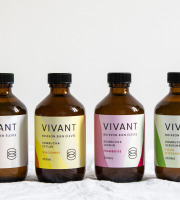 Vivant Kombucha - Coffret Découverte Kombucha Bio x12