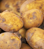 Gourmets de l'Ouest - Pommes de terre nouvelles, cat. I, cal.35+, origine France
